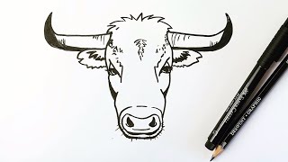 How to draw a bull's head