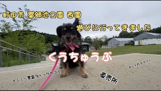 [くぅちゅうぶ] 町田市 薬師池公園 西園に遊びに行って来たよ