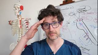 Medical Communication for Massage Therapists