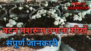 श्वेत बटन मशरूम (खुम्ब) कैसे उगाये//Mushroom Cultivation Full Training in Hindi