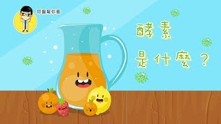 【邱醫幫你瘦】吃酵素減肥有效嗎？