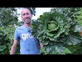 Amazing Garden Harvest on Only 19th an Acre, Backyard Sustainable Gardening