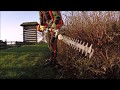 Trimming a large bed of shrubs