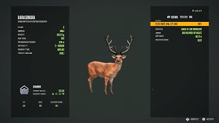 Diamond Barasingha, The Hunter Call of the Wild