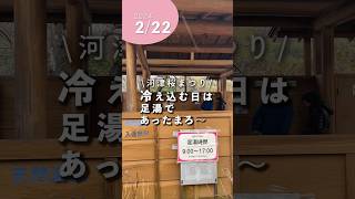 今日は猫の日です！飲める温泉が自慢の宿「禅の湯」でした🙋‍♀️#河津桜まつり #河津町 #河津桜 #伊豆 #禅の湯