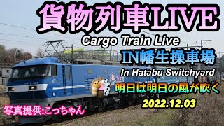 貨物列車LIVE  In幡生操車場【明日は明日の風が吹く】2022.12.03