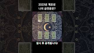 [타로카드] 2023년 나의 금전운은?! #shorts #타로 #금전운 #운세 #재물운