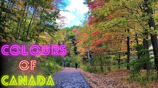 Attractive Fall Colours In 1hour Drive from Toronto | Colours of Canada | Lets See 360