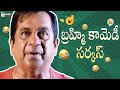 Brahmanandam Back To Back Comedy Scenes | Brahmanandam Best Comedy Scenes | Mango Telugu Cinema