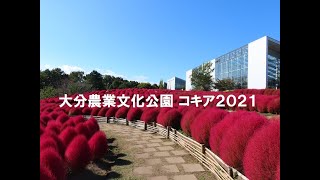 2021.06.11～2021.11.06　大分農業文化公園のコキア（完全版）