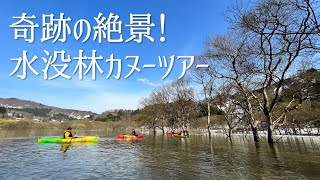 【山形県飯豊町】奇跡の絶景！いいでカヌークラブの水没林カヌーツアーに参加してきました