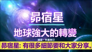 通靈信息【昴宿星】地球強大的轉變；將你的意識置於這些神聖的時刻，只需要你一個時刻專注於自然，你就可以與自然力量所包含的印記對齊。