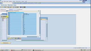 DATA DICTIONARY VIEW DATABASE