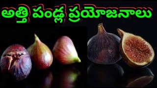 అత్తి పండ్ల ప్రయోజనాలు | Health Benefits of Fig in Telugu I Mana Ayurvedam