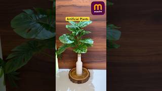 Meesho Fake Plant | cute Artificial plant for home decor #plants