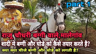 शादी मे घोडे और बग्गी को कैसे तयार करे।।how ready buggi and horse for wedding