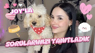 PATİLİ DOSTUMLA SORU-CEVAP 🐶🐾🦴✨