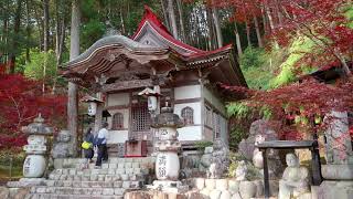 【風景と自然】2022年11月19日谷汲山華厳寺の紅葉 Autumn Leaves at Tanigumisan Temple in Ibigawacho in Gifu Nov. 19th 2022