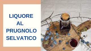 Liquore al prugnolo selvatico – Bargnolino – Prunella – Prugnolino