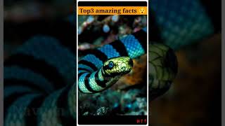 top3 amazing facts 😱||🔥 unknown facts 🔥||🔰 Naveen telugu facts #shorts #facts #telugufacts #viral