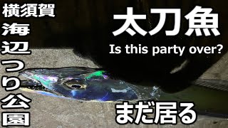 【タチウオ】太刀魚最盛期は終了？まだ居る釣れる｜横須賀　海辺つり公園