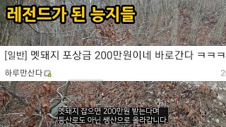 레전드가 된 능지들 part9