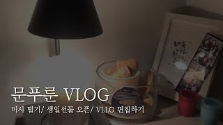 [문푸룬] VLOG : 미샤 세일 섀도우 구매/ 울랄라 컵 생.선 풀어보기/ VLLO 편집하기/ 멕리듬 하고 잠들기