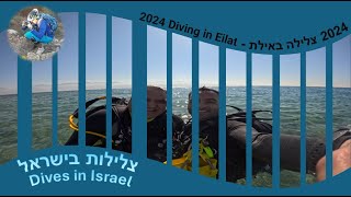 2024 צלילה באילת - 2024 Diving in Eilat