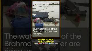 Assam floods: Nearly 2 lakh people affected, death toll reaches 15