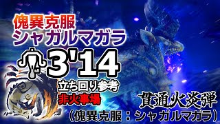 傀異克服シャガルを非火事場3分台。結局のところ貫通火炎ライトボウガンが強い【MHR:サンブレイク】Risen Shagaru Magala