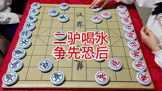 二驴喝水  争先恐后 #象棋 #喜欢象棋关注我