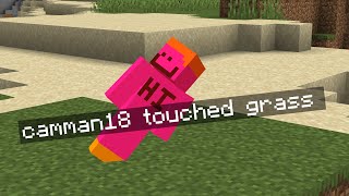 minecraft, but if i touch grass...