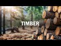 Timber