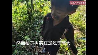 小凯摘野果卖维持生计，去看望生病的阿强叔叔，被恶女追赶越南生活