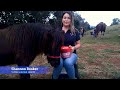 Founderguard - Shannon Booker, Virbac Animal Health