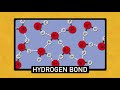 The Chemistry of Water | Chemistry Basics