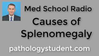 Dr. Krafts' Path Bites: Causes of splenomegaly