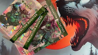 Bloomburrow Collector Box Battle - Bloomburrow Lived Up to the Hype