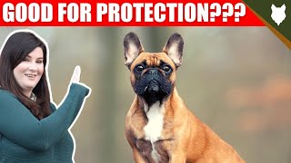 ARE FRENCH BULLDOG GOOD GUARD DOGS?