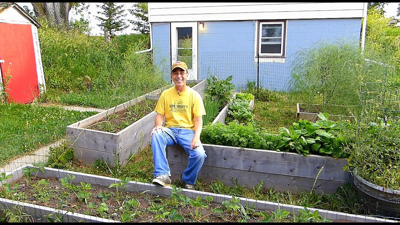 Organic Gardening Tips Youtube