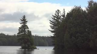 Big Trout Lake Tour - Algonquin Park