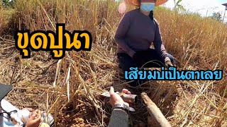 ไปขุดปูที่นากัน