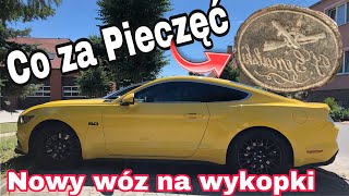 Przepiękna Pieczęć. Wykopki w Wielkopolsce.