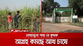 আখ মাড়াই মৌসুমেও সাড়া নেই চিনিকলে; উৎপাদন কমায় বাড়ছে লোকসান | sugar mill