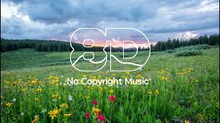 Phlanr - Never Give Up | 8D | No Copyright Music