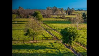 Elders NSW | 'Ascot Park' 142 & 144 Bathurst St, Pitt Town NSW