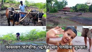 कोकणात पारंपरिक पद्धतीने भात पेरणीला सुरुवात | शेती | पेरणी | कोकणातील भात शेती |Kokan_Premi_Vikrant