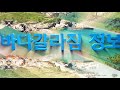 고흥우도 바다갈라짐 정보 8월 24일 해양방송 on바다