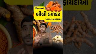 શિયાળામાં લીલી હળદર ખાવાના ફાયદાઓ -Benefits of eating turmeric