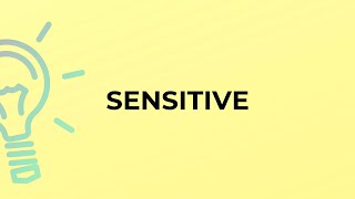 What is the meaning of the word SENSITIVE?